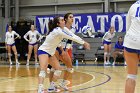 Volleyball vs Babson  Wheaton Women's Volleyball vs Babson College. - Photo by Keith Nordstrom : Wheaton, Volleyball, VB